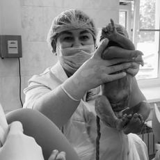 Clinic or Doctor photo