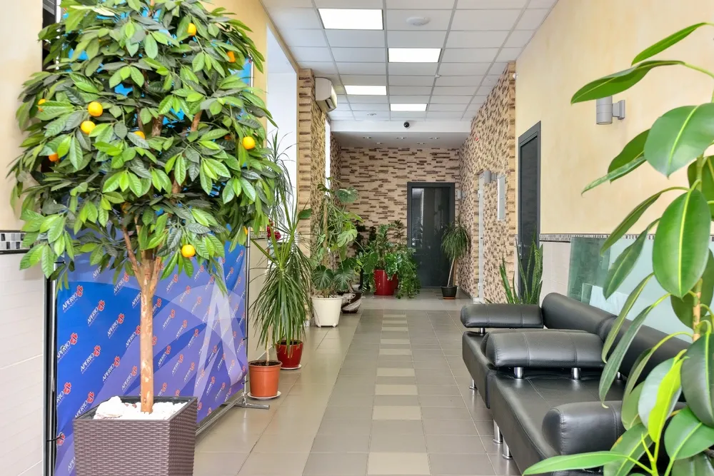 Clinic or Doctor photo