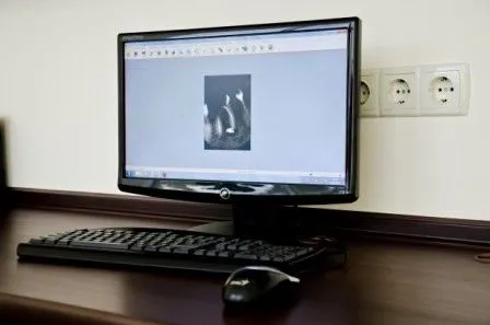 Clinic or Doctor photo